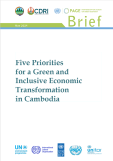 Five Priorities for a Green and Inclusive