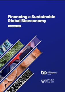 Financing a sustainable Global