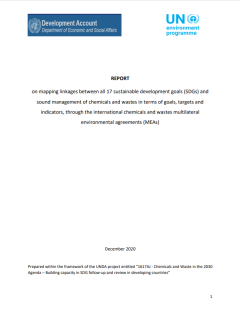 Report on mapping linkages between all 17 SDGs and sound management of chemicals and wastes