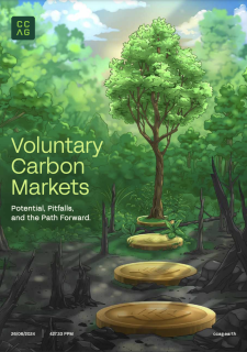 Voluntary Carbon Markets