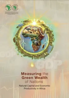 Measuring the Green wealth