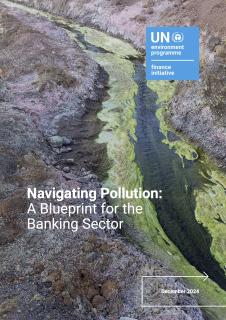 White-Paper-on-Pollution-UNEP-FI