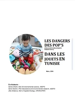 Les Dangers des POPs Dans les Jouets en Tunisie