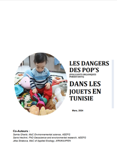Les Dangers des POPs Dans les Jouets en Tunisie