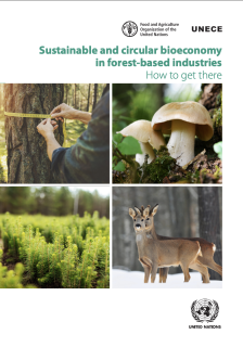 Sustainable and circular bioeconomy