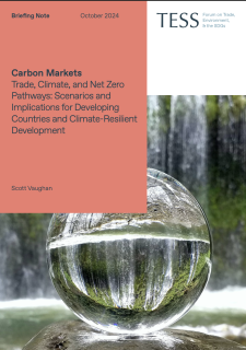 Carbon Markets