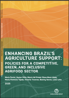 Enhancing Brazils agricultural