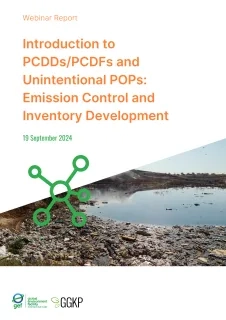 Webinar Report_PCDDsPCDFs&UPOPs_2024Sep19
