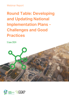 Webinar Report_Round Table_2024Jun05