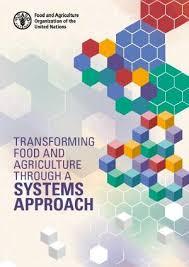 Report cover