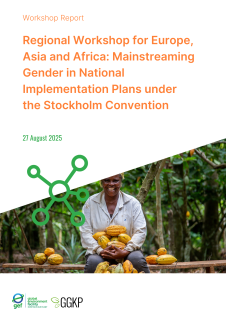 Regional Workshop for Europe, Asia and Africa Mainstreaming Gender in National Implementation Plans under the Stockholm Convention