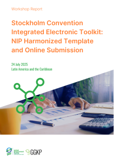 Workshop Report_SC Integrated Toolkit (LAC)
