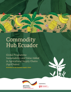 Commodity Hub Ecuador