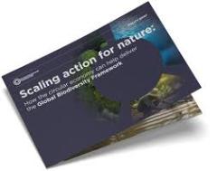 Scaling Action cover