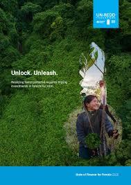 UNEP Unlock forests cover