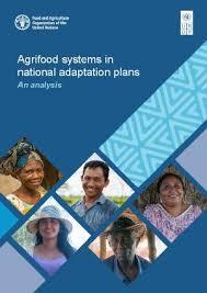 FAO agrifood cover