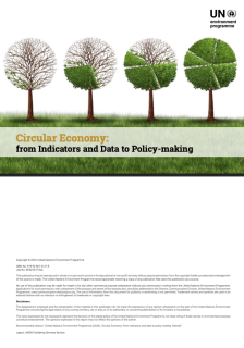 UNEP circular Economy