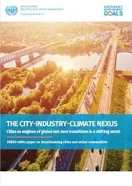 UNIDO nexus cover