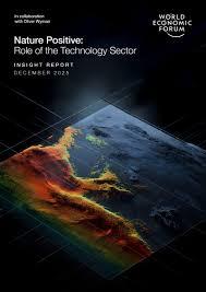 WEF Nature Positive cover