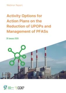 Webinar Report_ActionPlans2_2026Jan
