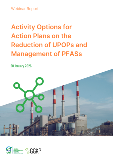 Webinar Report_ActionPlans2_2026Jan