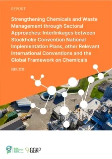 Cover_Sectoral approach NIPs link to GFC