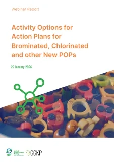 Webinar Report_ActionPlans3_2026Jan