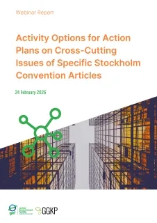 Webinar Report_ActionPlans4