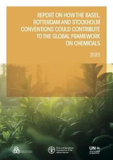 Report on how the BRS Conventions could contribute to the Global Framework on Chemicals
