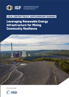 Leveraging Renewable Energy