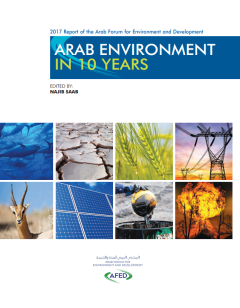 Arab Environment in 10 Years