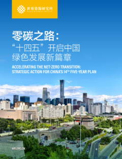 Accelerating the Net-Zero Transition_WRI.png