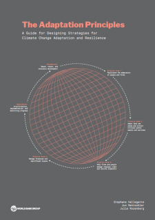 Adaptation Principles  A guide for designing strategies for climate change adaptation and resilience_WBG