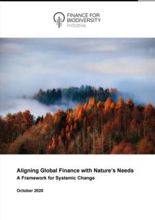 Aligning Global Finance with Natureâs Needs_f4b.jpg