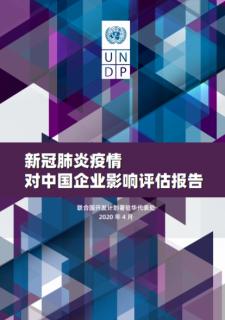 Assessment Report on Impact of COVID-19 Pandemic on Chinese Enterprises_UNDP.jpg