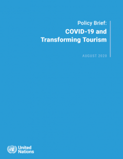 COVID-19 and transforming tourism_UNSDG.png