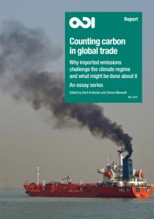 Counting Carbon in Global Trade _ODI.jpg