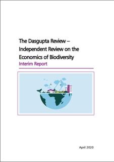 The Dasgupta Review Interim Report Cover by HM Treasury
