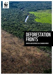 Deforestation Fronts - Drivers and Responses in a Changing World_WWF.JPG