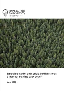 Emerging Market Debt Crisis_F4B.jpg