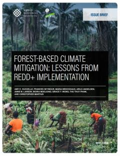 Forest-Based Climate Mitigation_WRI.jpg