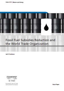Fossil Fuel Subsidies Reduction and the World Trade Organization
