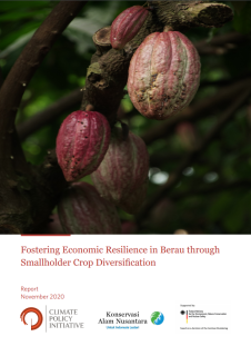 Fostering Economic Resilience in Berau through Smallholder Crop Diversification_CPI