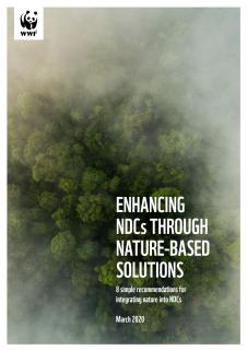 Enhancing National Climate Plans Through Nature-Based Solutions.JPG