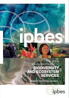 Global Assessment Report on Biodiversity and Ecosystem Services_ipbes.jpg