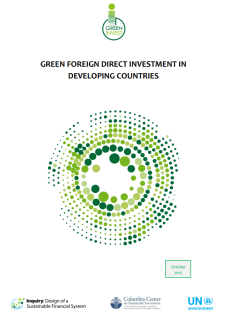 Green Foreign Direct Investment in Developing Countries