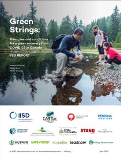 Green Strings_IISD.jpg