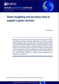 Green-budgeting-and-tax-policy-tools-to-support-a-green-recovery-screenshot.png