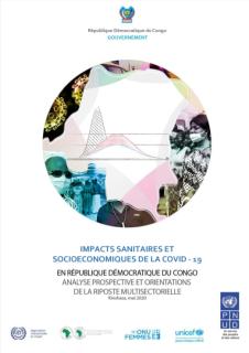 Health and Socioeconomic Impacts of COVID-19 in the Democratic Republic of Congo (French)_UNDP.jpg