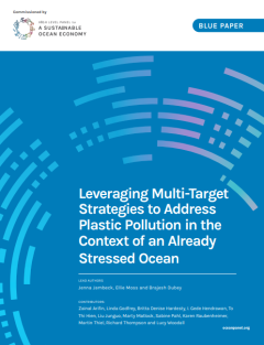 High Level Panel for a sustainable ocen economy_ Leveraging multi-target strategies.png